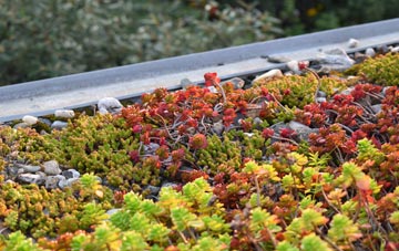 the cost of Felsted green roof installation